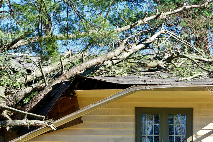 Storm damage cleanup by Freedom Land Services LLC