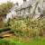 Weeki Wachee Emergency Tree Removal by Freedom Land Services LLC