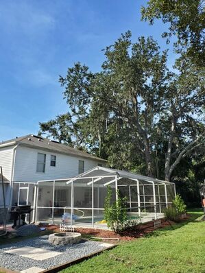 Tree Services in Zephyrhills, FL (3)