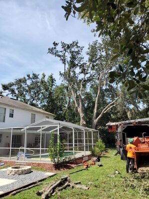 Tree Services in Zephyrhills, FL (2)